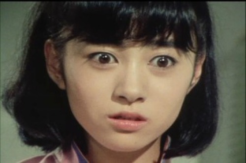 PDVD_017.jpg
