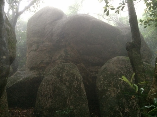 IMG_9377 (640x480).jpg