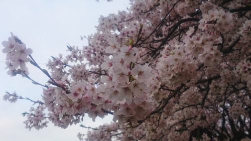 CYMERA_20160406_091430.jpg