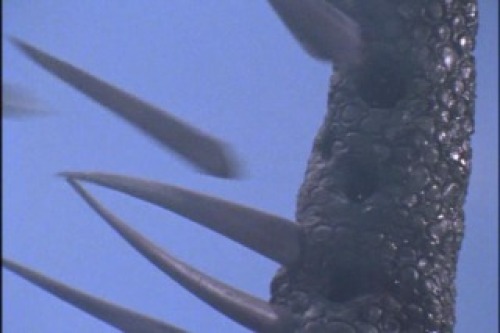 PDVD_035.jpg