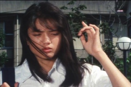 PDVD_012.jpg