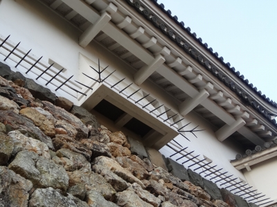 DSC00384.jpg