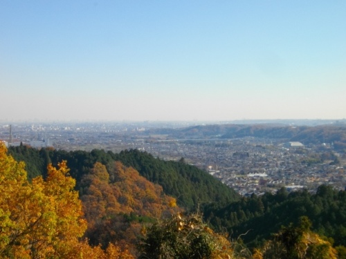 阿伎留城三内神社本社眺望 (2).JPG