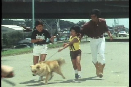 PDVD_020.jpg