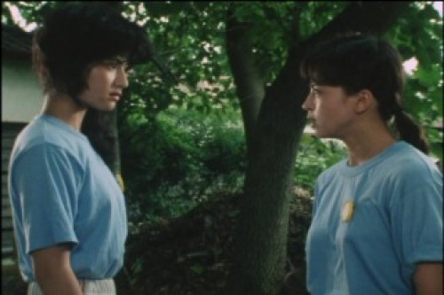 PDVD_049.jpg