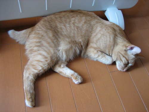 Jan. 07, 2014(8)(V.2014_01_07__10_40_59).jpg