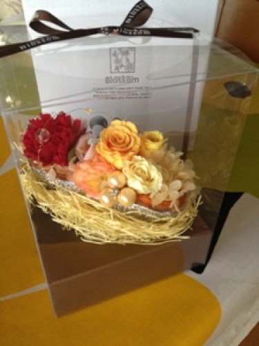 2013-01-13 08.42.22.jpg