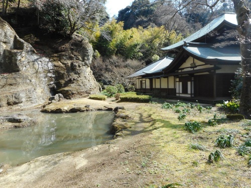 瑞泉寺庭園 (2).JPG