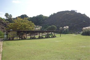 九州492.jpg
