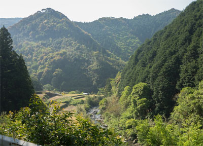 土佐山85.jpg