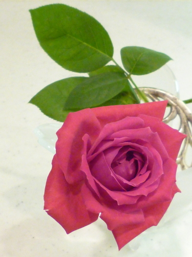 P1110731.JPG