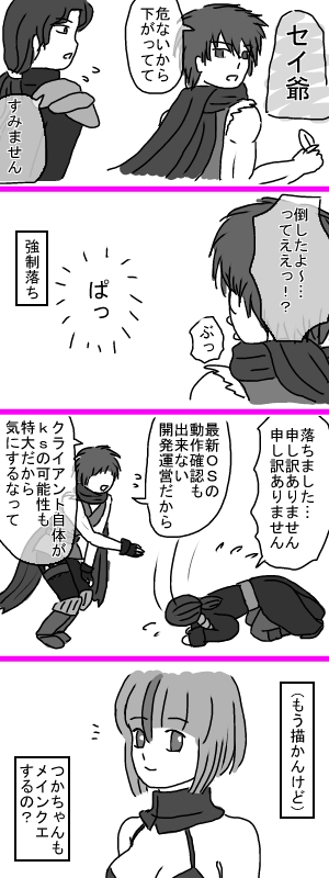 セイジ討伐