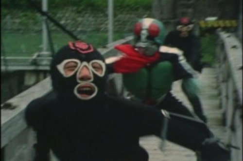 PDVD_026.jpg