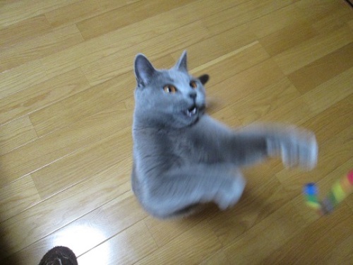 0416f.jpg
