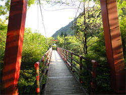 土佐山10.jpg