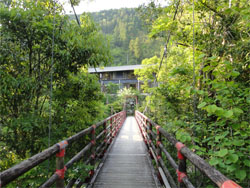 土佐山14.jpg