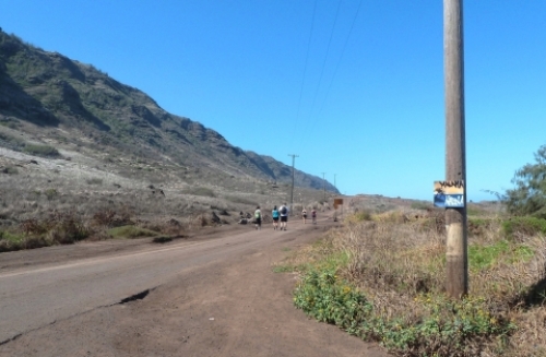 pict-カエナ 10.jpg