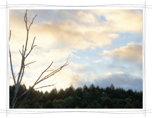 飛行機雲　御射鹿池（みしゃかいけ）長野　茅野市　東山魁夷　緑響く　AQUOS　CM