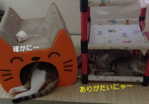 20150814_3.jpg