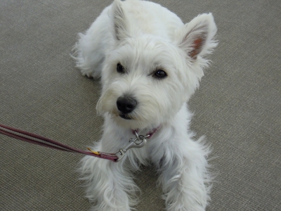 20100710-02.jpg