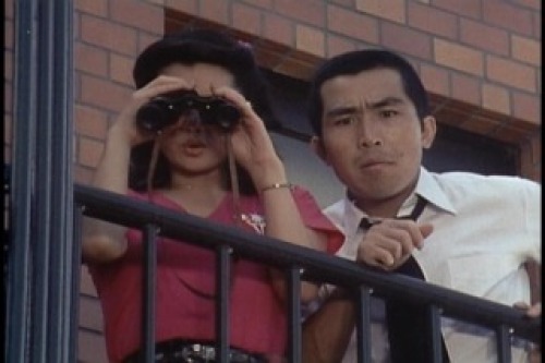 PDVD_012.jpg