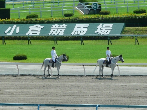 P1050905 (640x480).jpg