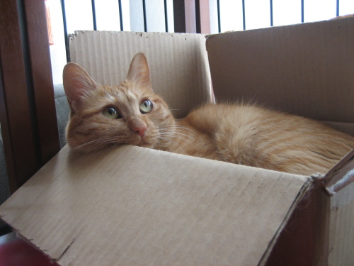 July 13, 2013(8).JPG