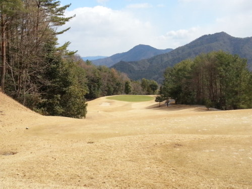 20140307_120647.jpg