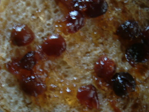 DSCF7549.JPG