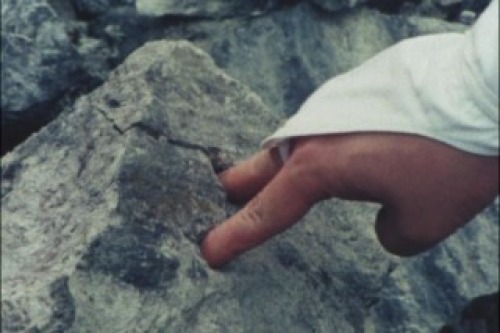 PDVD_005.jpg
