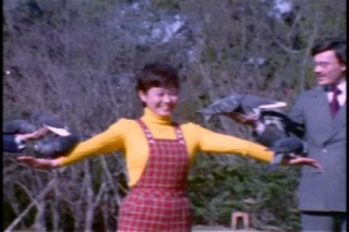 PDVD_001.jpg