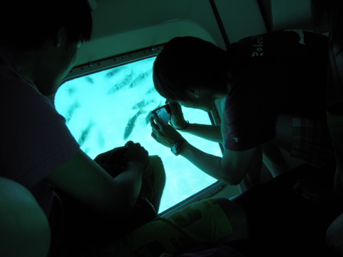 DSCN4690.JPG