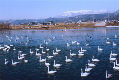 03-16 東白石駅.jpg