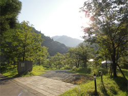 合歓80.jpg