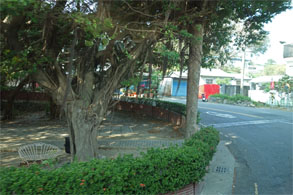 台湾630.jpg