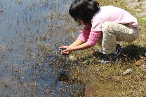 ２０１2年３月29日日本庭園の桜 023.jpg