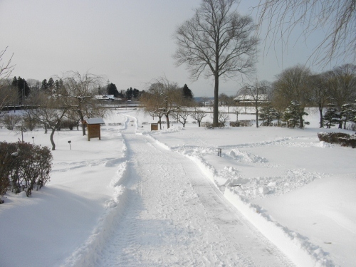 根城東善寺曲輪 (1) (500x375).jpg