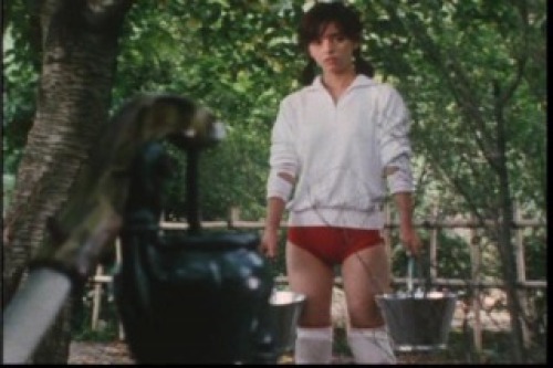PDVD_007.jpg