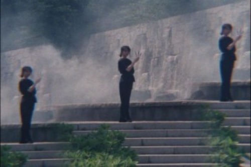 PDVD_009.jpg