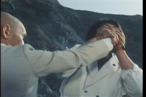 PDVD_057.jpg