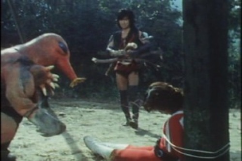 PDVD_011.jpg