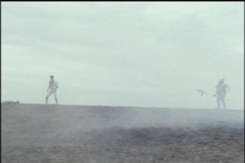 PDVD_029.jpg