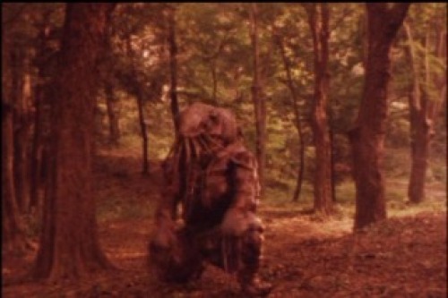 PDVD_029.jpg