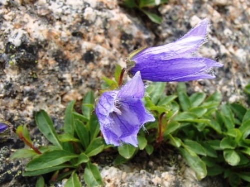 P8071324-1.jpg