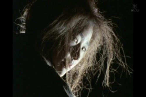 PDVD_015.jpg