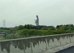 あみ2.jpg