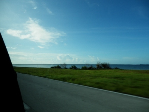 P8040199 (450x338).jpg