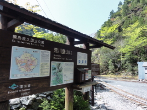 yakushima0021.JPG
