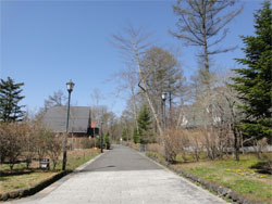軽井沢5.jpg