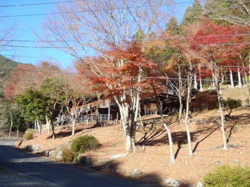 PB300187.JPG